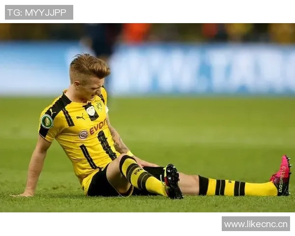 罗伊斯加盟DAZN担任欧冠专家评论员首秀点评多特对阵博德闪耀